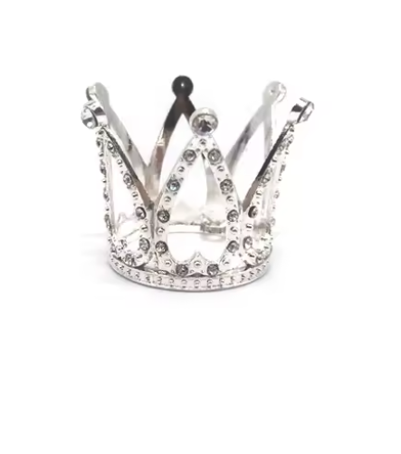 Silve crown