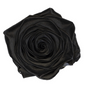 Black Eternal Rose