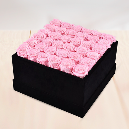 Sweet Pink Eternal Rose